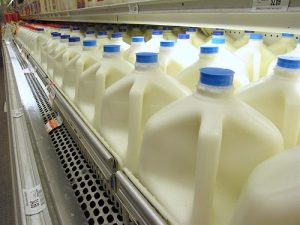 What to Do When You Can’t Get Raw Milk