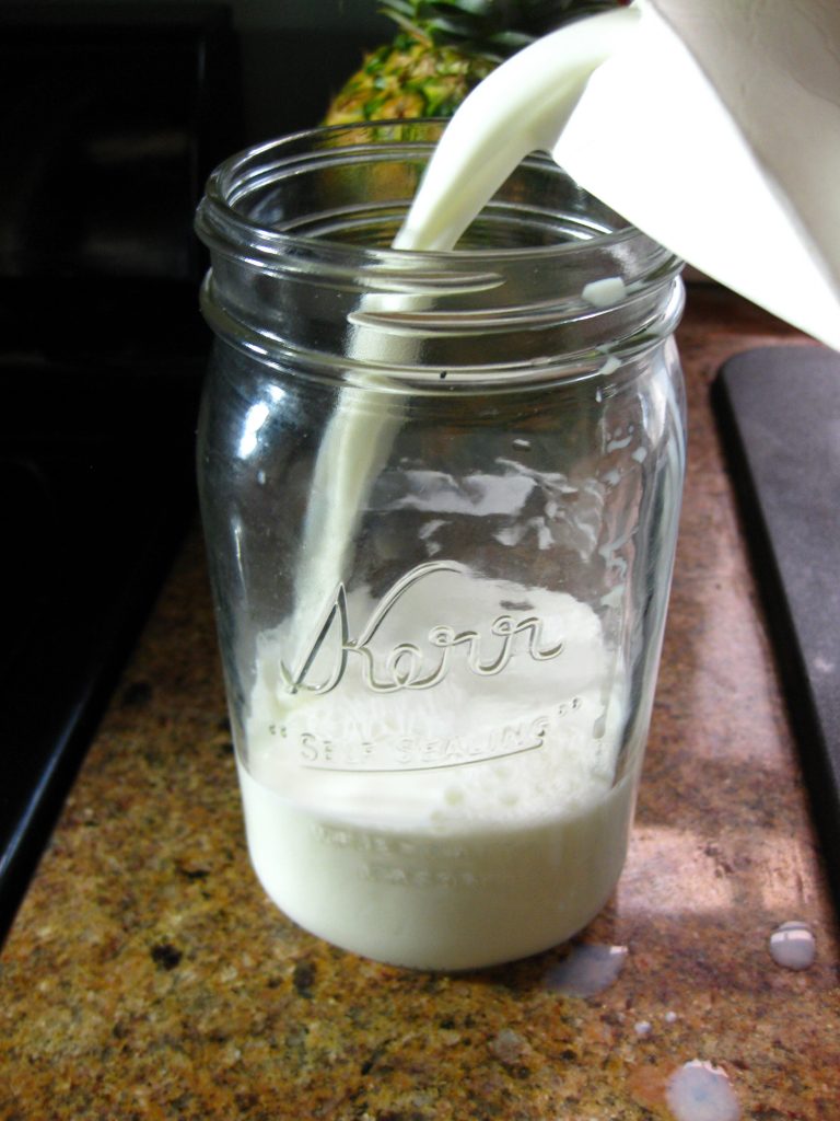 Learning to Make Milk Kefir Butter Believer