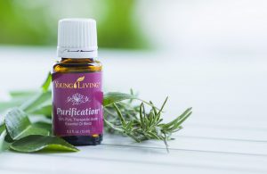 Bee Sting Treatment: Fast and Natural Relief with Essential Oils