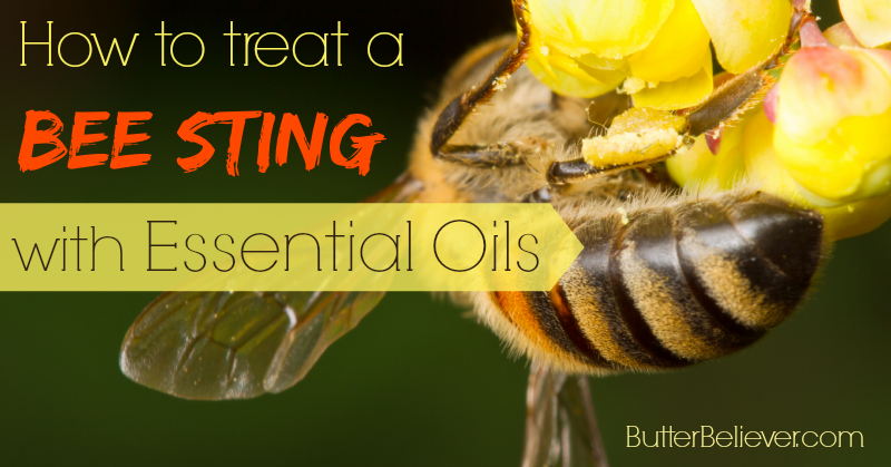 Bee sting treatment naturally, with essential oils!