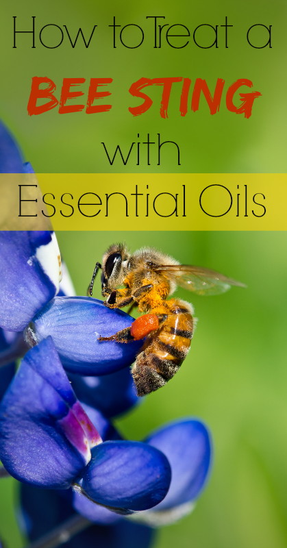 Fast & natural bee sting relief with essential oils! Definitely need to keep these on hand for the summer!